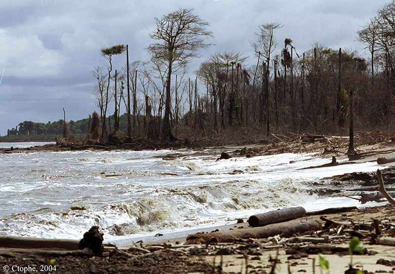 Erosion du littoral guyanais. C.Proisy. IRD-GDR LiGA