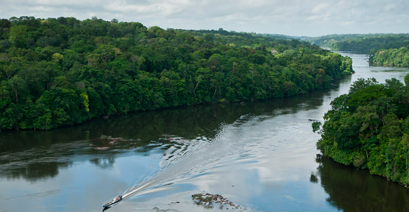 Pirogue sur le fleuve. Parc amazonien de Guyane